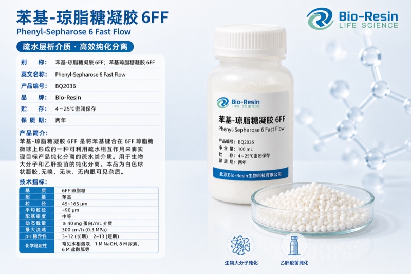 苯基-琼脂糖凝胶6FF